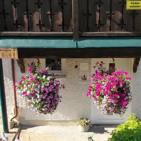 Apartamento Haus Amsel